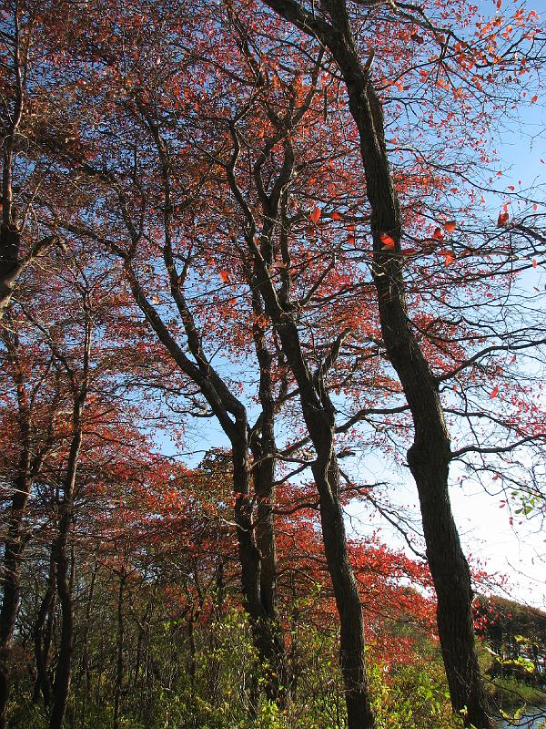 2008-10-11_Tiverton_Trustom 087.jpg